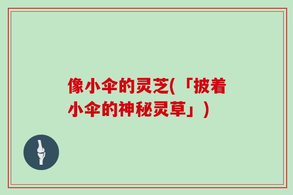 像小伞的灵芝(「披着小伞的神秘灵草」)