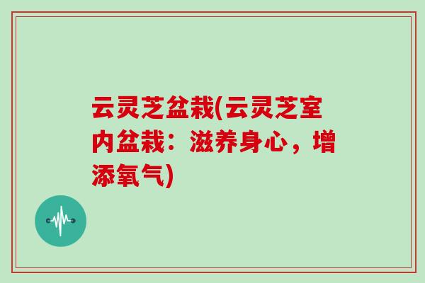 云灵芝盆栽(云灵芝室内盆栽：滋养身心，增添氧气)