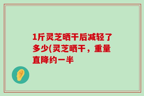 1斤灵芝晒干后减轻了多少(灵芝晒干，重量直降约一半