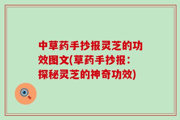 中草药手抄报灵芝的功效图文(草药手抄报：探秘灵芝的神奇功效)