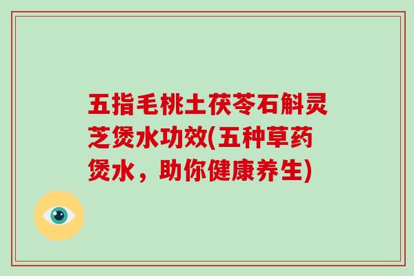 五指毛桃土茯苓石斛灵芝煲水功效(五种草药煲水，助你健康养生)