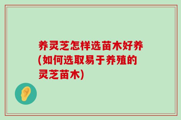 养灵芝怎样选苗木好养(如何选取易于养殖的灵芝苗木)