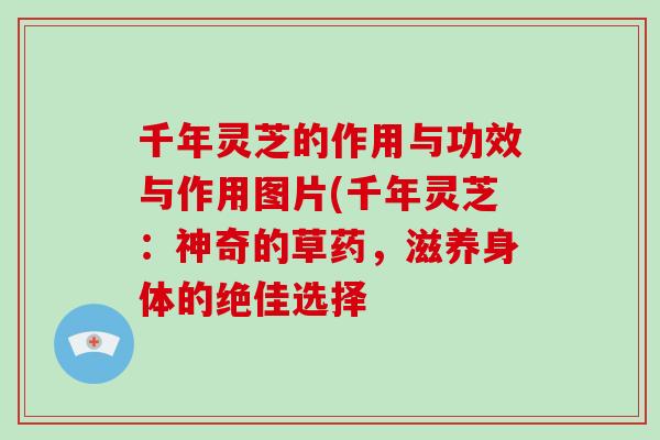 千年灵芝的作用与功效与作用图片(千年灵芝：神奇的草药，滋养身体的绝佳选择