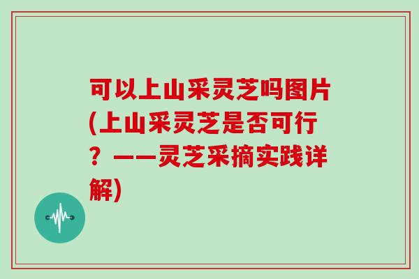 可以上山采灵芝吗图片(上山采灵芝是否可行？——灵芝采摘实践详解)