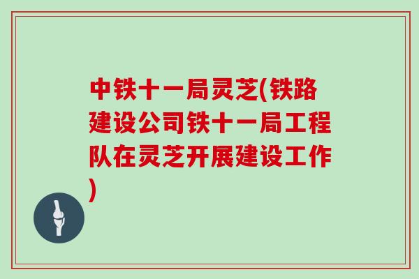 中铁十一局灵芝(铁路建设公司铁十一局工程队在灵芝开展建设工作)