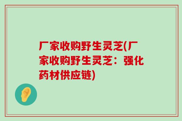 厂家收购野生灵芝(厂家收购野生灵芝：强化药材供应链)