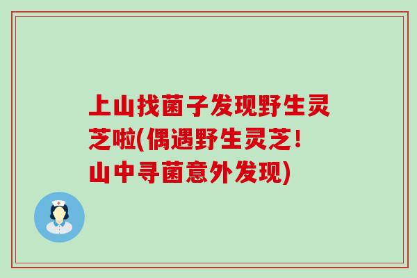 上山找菌子发现野生灵芝啦(偶遇野生灵芝！山中寻菌意外发现)