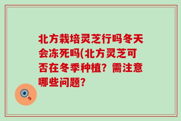 北方栽培灵芝行吗冬天会冻死吗(北方灵芝可否在冬季种植？需注意哪些问题？