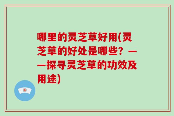 哪里的灵芝草好用(灵芝草的好处是哪些？——探寻灵芝草的功效及用途)