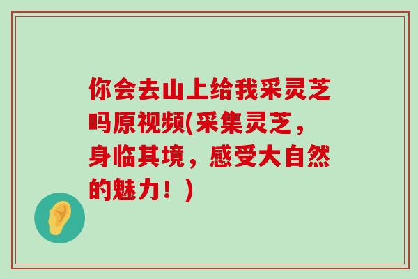 你会去山上给我采灵芝吗原视频(采集灵芝，身临其境，感受大自然的魅力！)