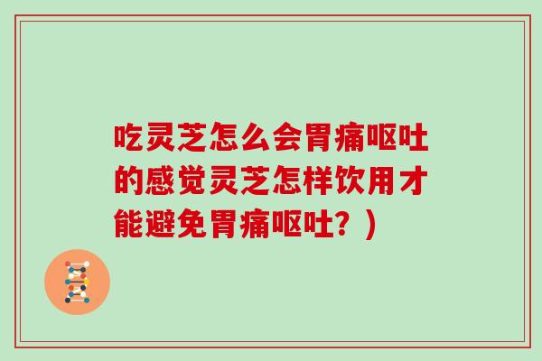 吃灵芝怎么会胃痛的感觉灵芝怎样饮用才能避免胃痛？)