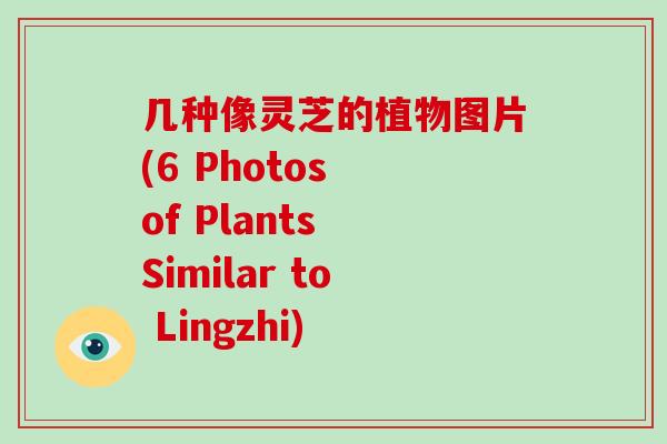 几种像灵芝的植物图片(6 Photos of Plants Similar to Lingzhi)