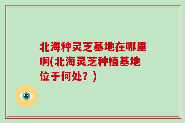 北海种灵芝基地在哪里啊(北海灵芝种植基地位于何处？)