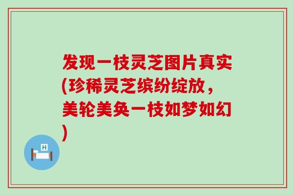 发现一枝灵芝图片真实(珍稀灵芝缤纷绽放，美轮美奂一枝如梦如幻)