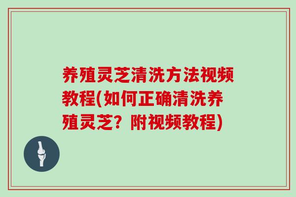 养殖灵芝清洗方法视频教程(如何正确清洗养殖灵芝？附视频教程)