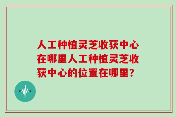 人工种植灵芝收获中心在哪里人工种植灵芝收获中心的位置在哪里？