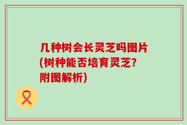 几种树会长灵芝吗图片(树种能否培育灵芝？附图解析)