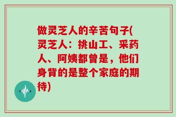 做灵芝人的辛苦句子(灵芝人：挑山工、采药人、阿姨都曾是，他们身背的是整个家庭的期待)