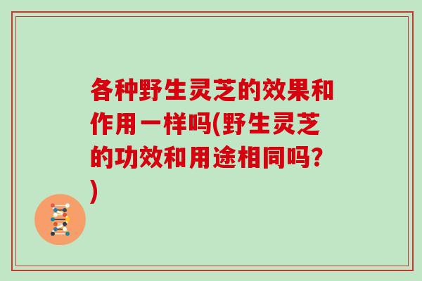 各种野生灵芝的效果和作用一样吗(野生灵芝的功效和用途相同吗？)