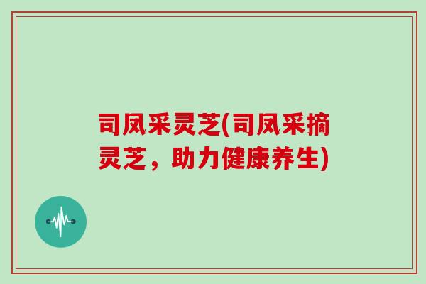 司凤采灵芝(司凤采摘灵芝，助力健康养生)