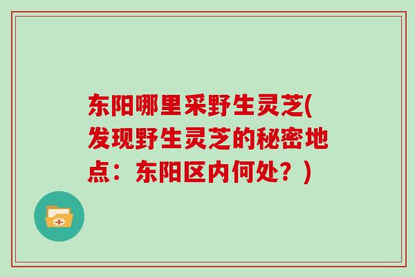 东阳哪里采野生灵芝(发现野生灵芝的秘密地点：东阳区内何处？)