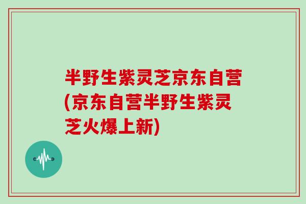 半野生紫灵芝京东自营(京东自营半野生紫灵芝火爆上新)