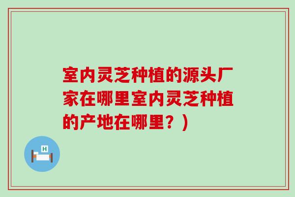 室内灵芝种植的源头厂家在哪里室内灵芝种植的产地在哪里？)