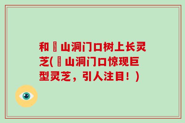 和珅山洞门口树上长灵芝(珅山洞门口惊现巨型灵芝，引人注目！)