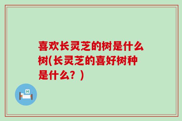 喜欢长灵芝的树是什么树(长灵芝的喜好树种是什么？)