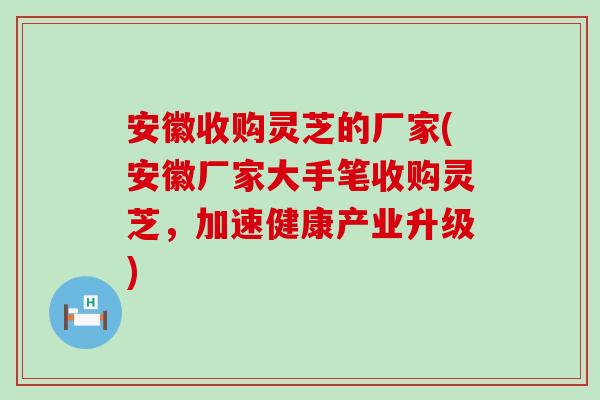 安徽收购灵芝的厂家(安徽厂家大手笔收购灵芝，加速健康产业升级)