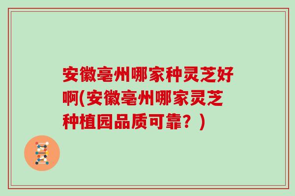 安徽亳州哪家种灵芝好啊(安徽亳州哪家灵芝种植园品质可靠？)