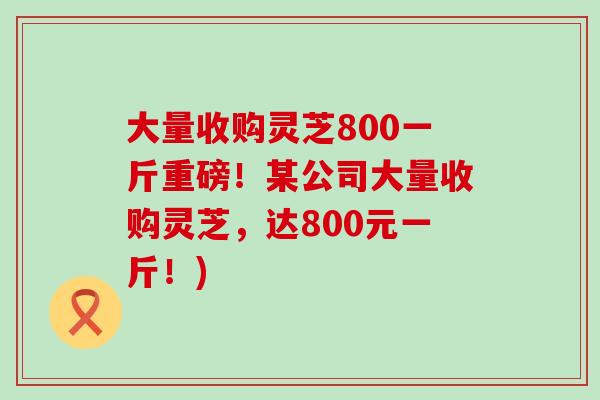 大量收购灵芝800一斤重磅！某公司大量收购灵芝，达800元一斤！)