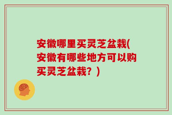 安徽哪里买灵芝盆栽(安徽有哪些地方可以购买灵芝盆栽？)