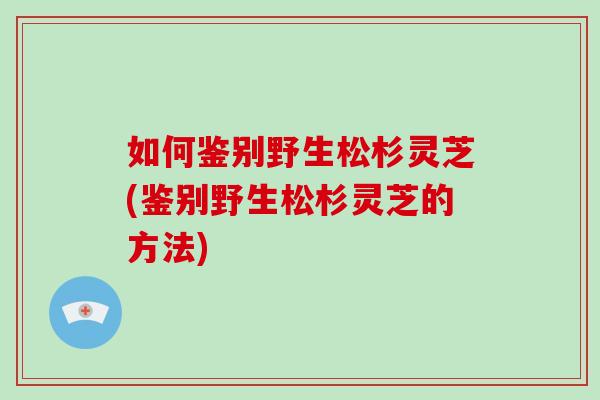 如何鉴别野生松杉灵芝(鉴别野生松杉灵芝的方法)