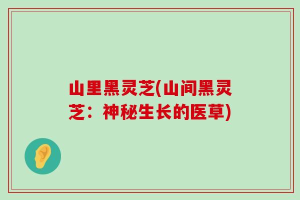 山里黑灵芝(山间黑灵芝：神秘生长的医草)