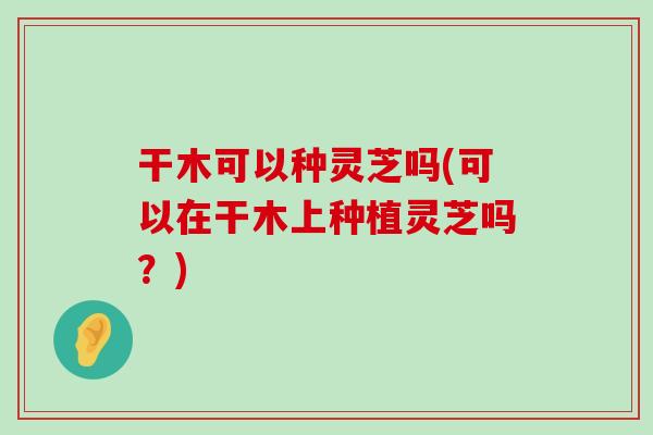 干木可以种灵芝吗(可以在干木上种植灵芝吗？)