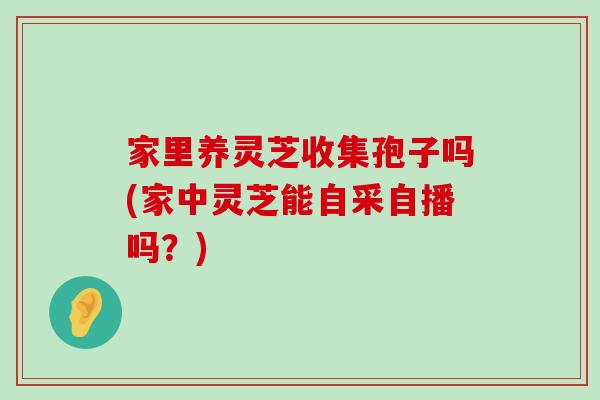 家里养灵芝收集孢子吗(家中灵芝能自采自播吗？)