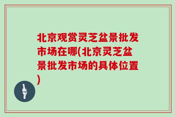 北京观赏灵芝盆景批发市场在哪(北京灵芝盆景批发市场的具体位置)