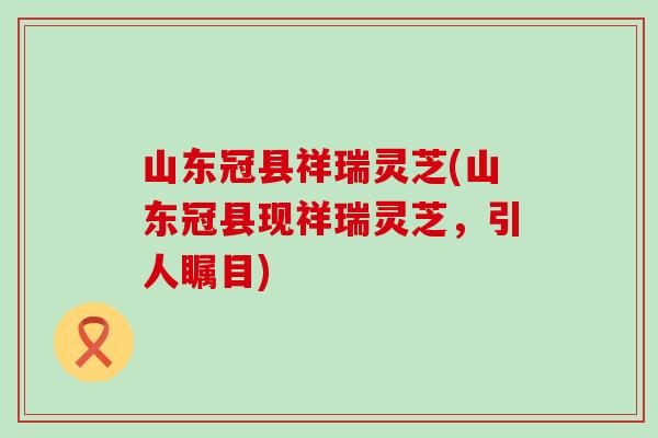 山东冠县祥瑞灵芝(山东冠县现祥瑞灵芝，引人瞩目)