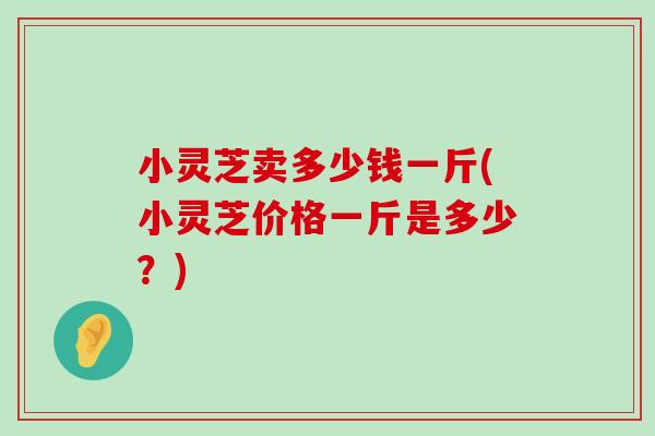 小灵芝卖多少钱一斤(小灵芝价格一斤是多少？)