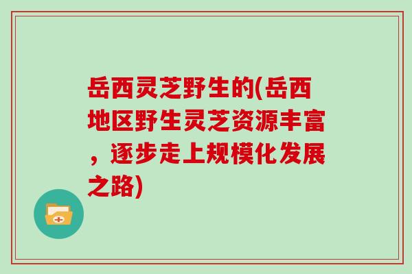 岳西灵芝野生的(岳西地区野生灵芝资源丰富，逐步走上规模化发展之路)