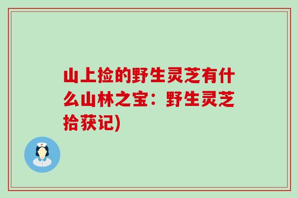 山上捡的野生灵芝有什么山林之宝：野生灵芝拾获记)