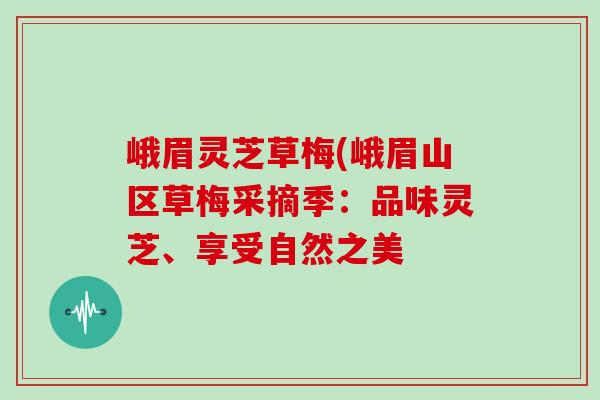 峨眉灵芝草梅(峨眉山区草梅采摘季：品味灵芝、享受自然之美