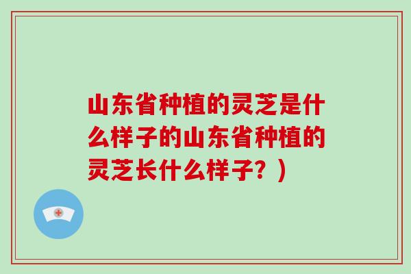 山东省种植的灵芝是什么样子的山东省种植的灵芝长什么样子？)