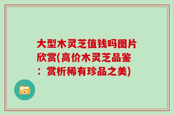 大型木灵芝值钱吗图片欣赏(高价木灵芝品鉴：赏析稀有珍品之美)