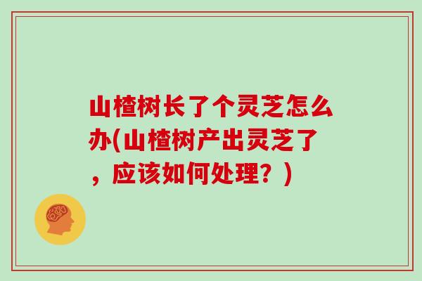 山楂树长了个灵芝怎么办(山楂树产出灵芝了，应该如何处理？)