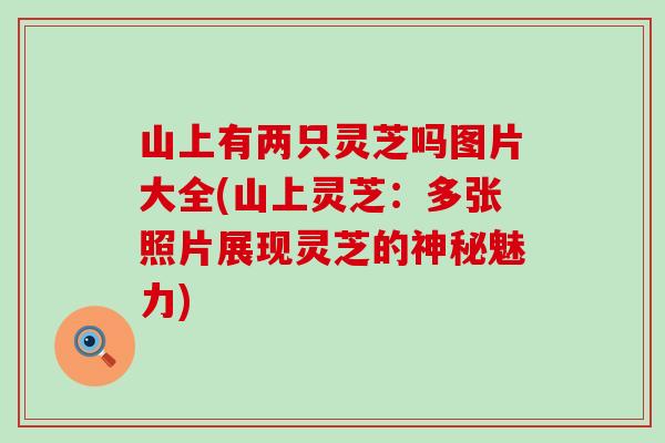 山上有两只灵芝吗图片大全(山上灵芝：多张照片展现灵芝的神秘魅力)