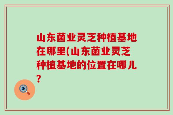 山东菌业灵芝种植基地在哪里(山东菌业灵芝种植基地的位置在哪儿？