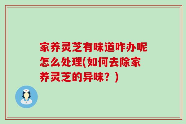 家养灵芝有味道咋办呢怎么处理(如何去除家养灵芝的异味？)