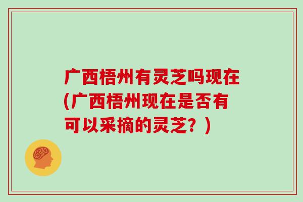 广西梧州有灵芝吗现在(广西梧州现在是否有可以采摘的灵芝？)